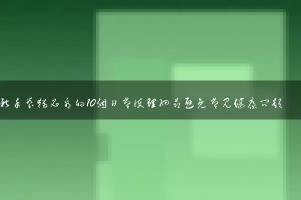 新手养猫必看的10个日常护理细节避免常见健康问题