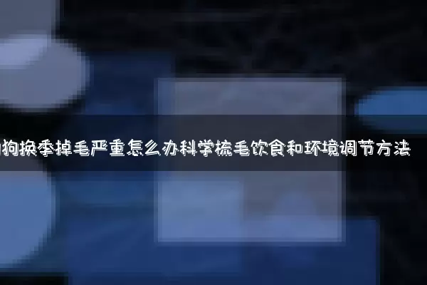 狗狗换季掉毛严重怎么办科学梳毛饮食和环境调节方法