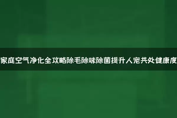 养宠家庭空气净化全攻略除毛除味除菌提升人宠共处健康度