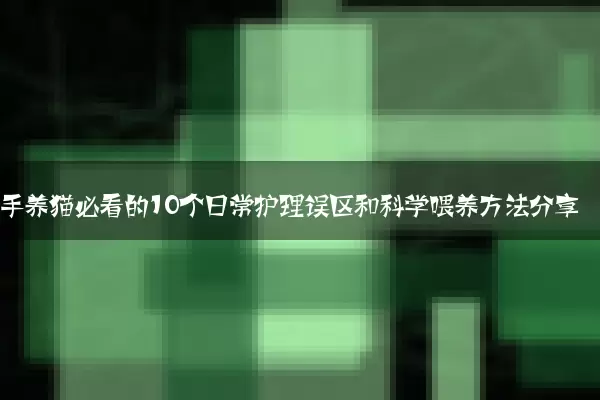 新手养猫必看的10个日常护理误区和科学喂养方法分享