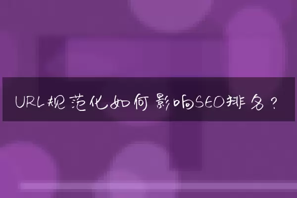 URL规范化如何影响SEO排名？